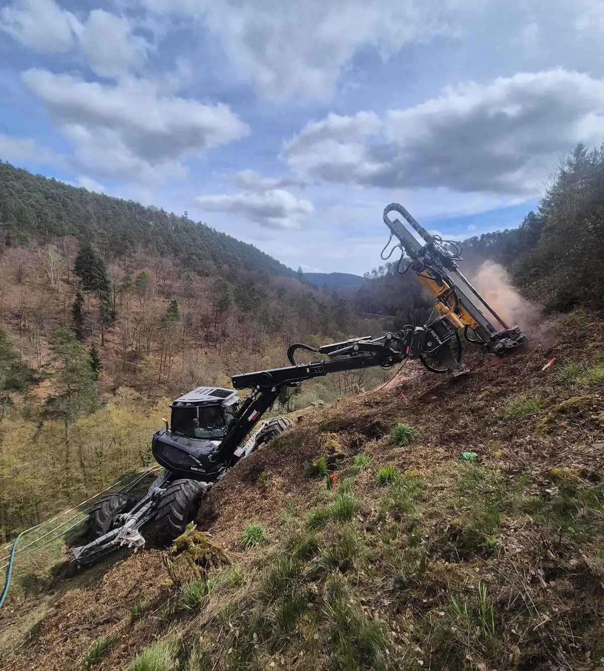 Spinnenbagger am bewaldeten Hang